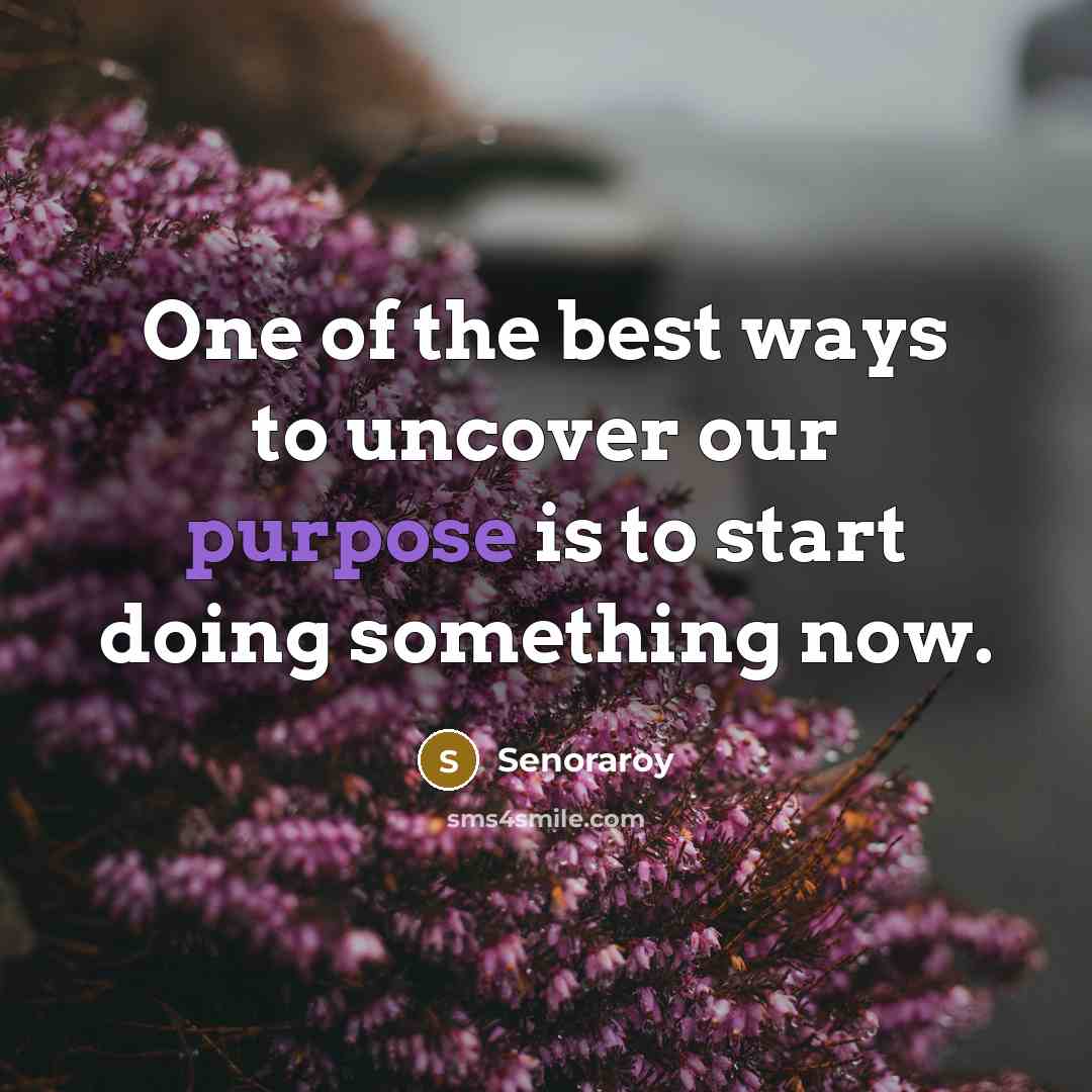 “One of the best ways to uncover our purpose is to start doing something now.” quote by Senoraroy