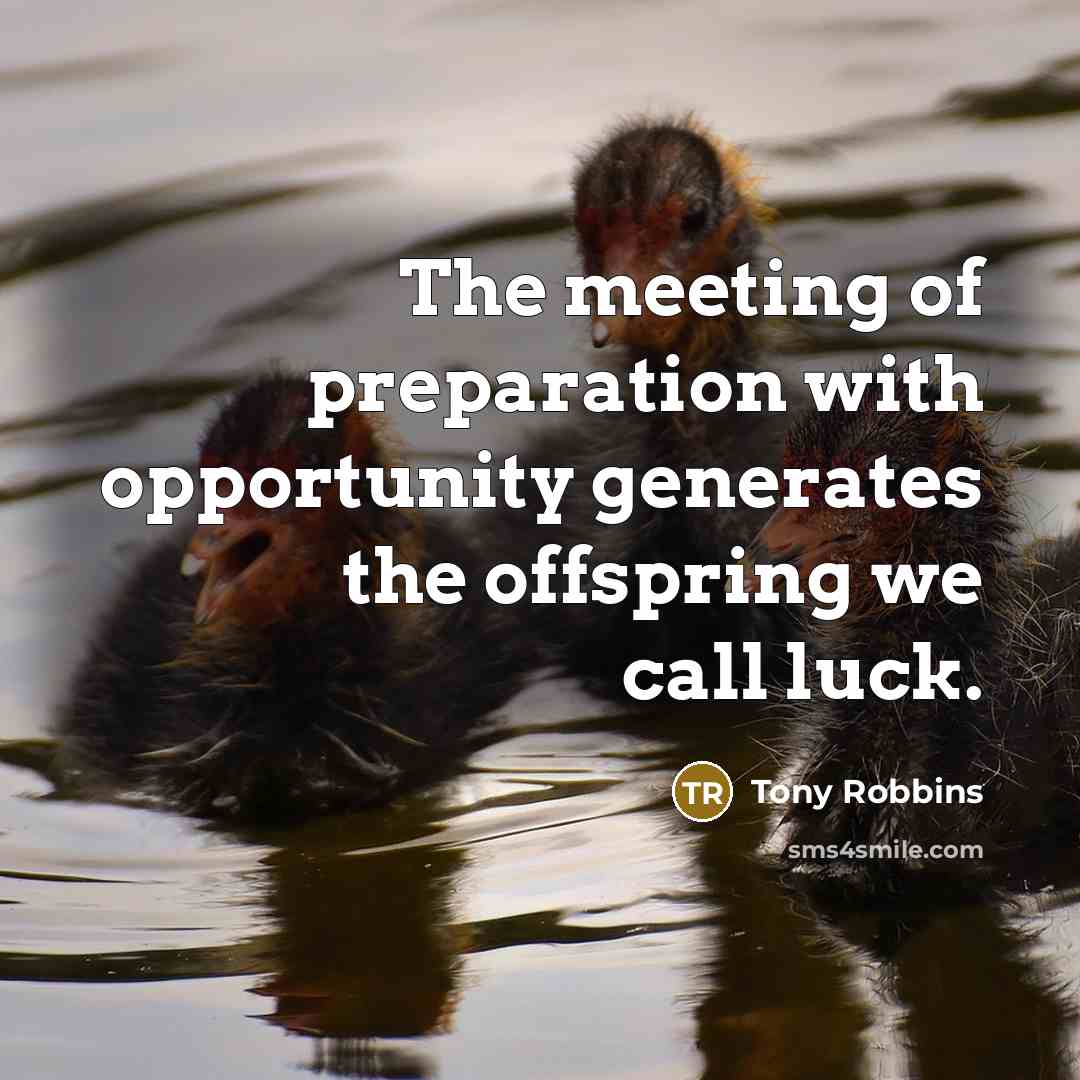 “The meeting of preparation with opportunity generates the offspring we…” quote by Tony Robbins