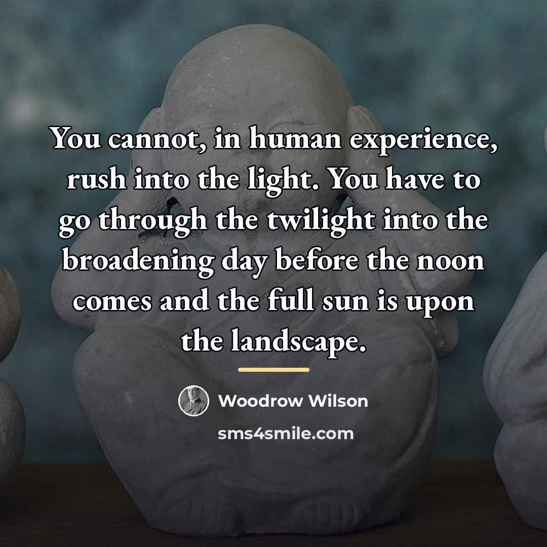 “You cannot, in human experience, rush into the light. You…” quote by Woodrow Wilson
