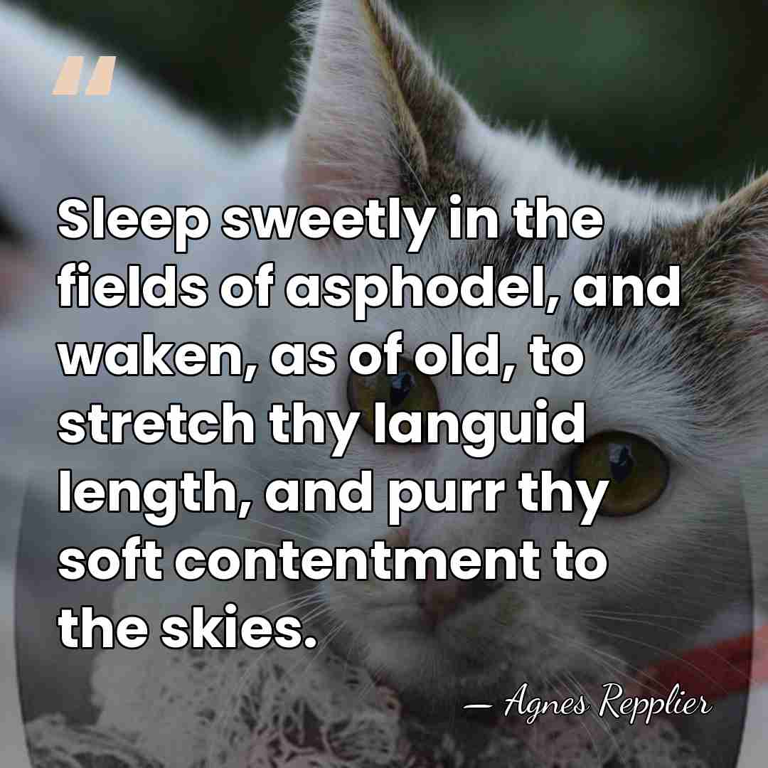 Sleep sweetly in the fields of asphodel, and waken, as of old,&hellip; - Agnes Repplier