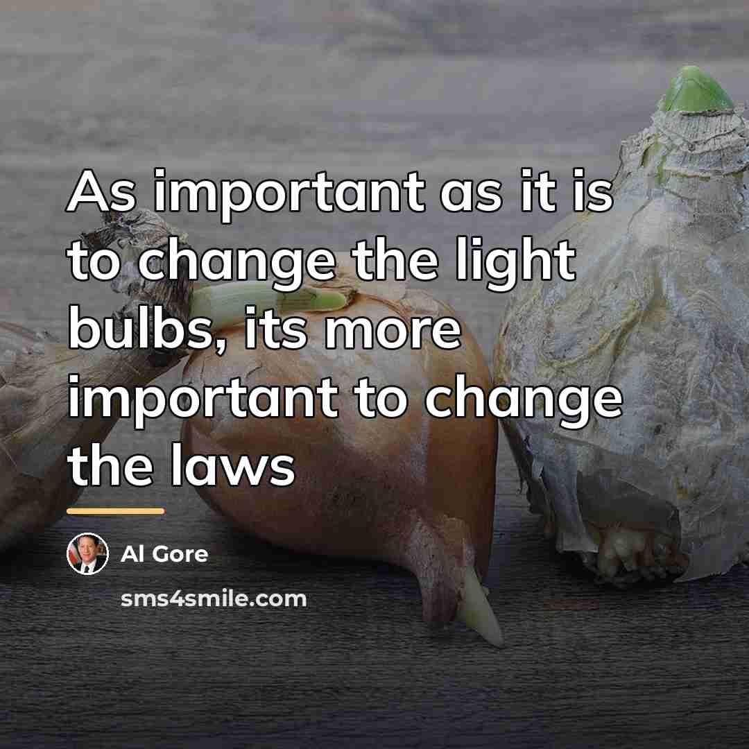 “As important as it is to change the light bulbs,…” quote by Al Gore