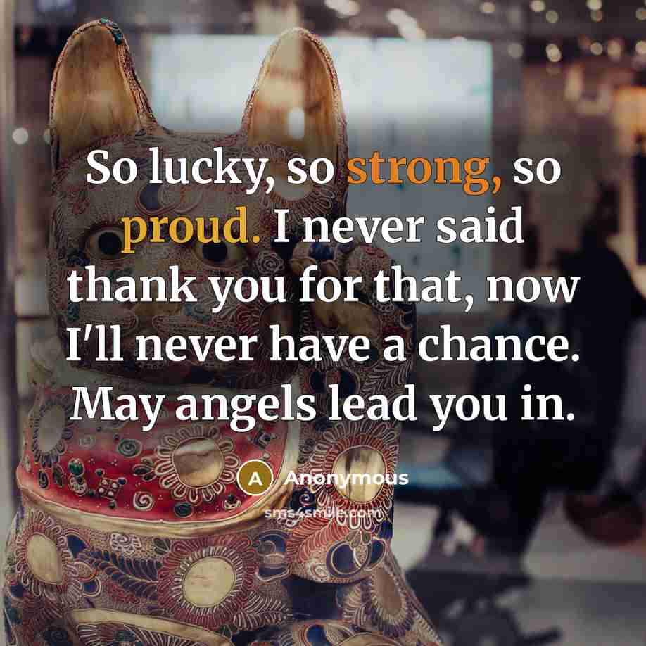 “So lucky, so strong, so proud. I never said thank you for that, now I'll never have a chance. May angels lead you in.” quote by Anonymous
