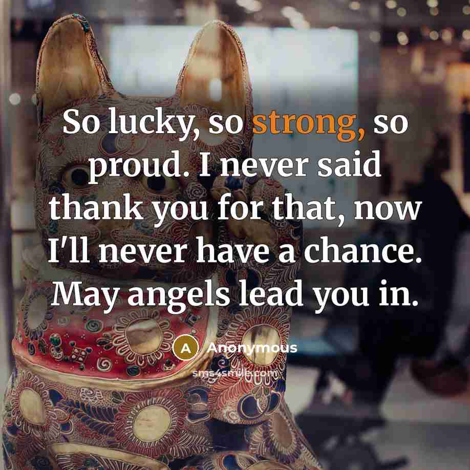 “So lucky, so strong, so proud. I never said thank you for that, now I'll never have a chance. May angels lead you in.” quote by Anonymous