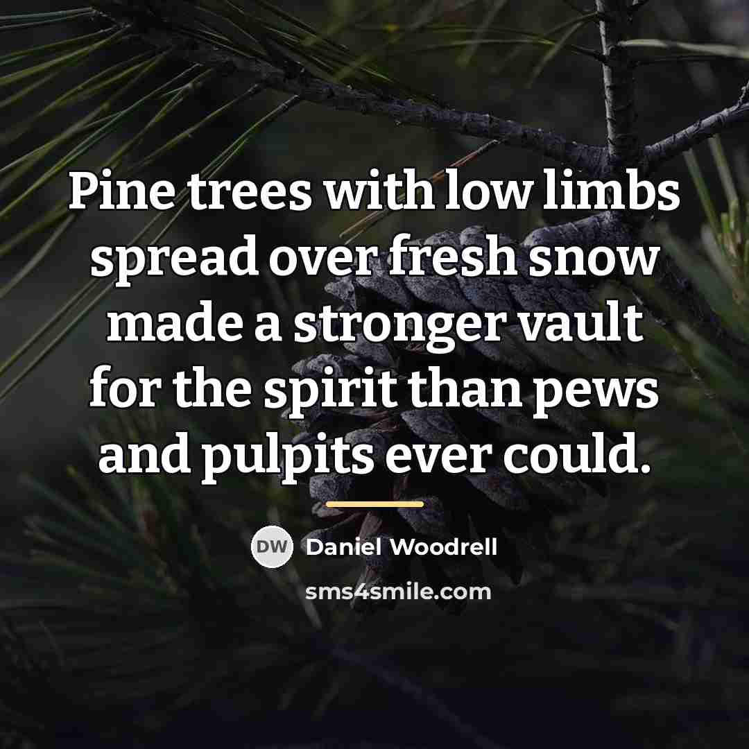 “Pine trees with low limbs spread over fresh snow made…” quote by Daniel Woodrell