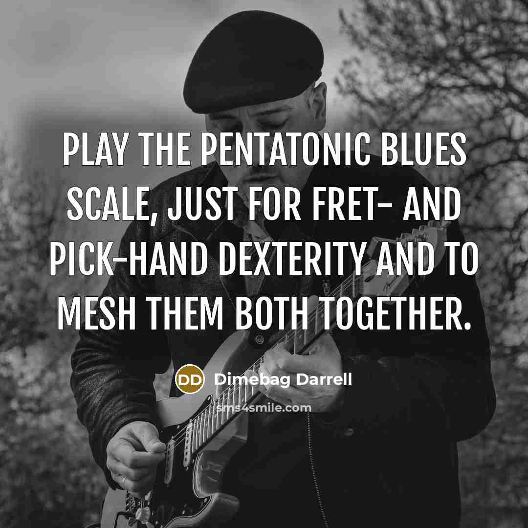 “Play the pentatonic blues scale, just for fret- and pick-hand…” quote by Dimebag Darrell
