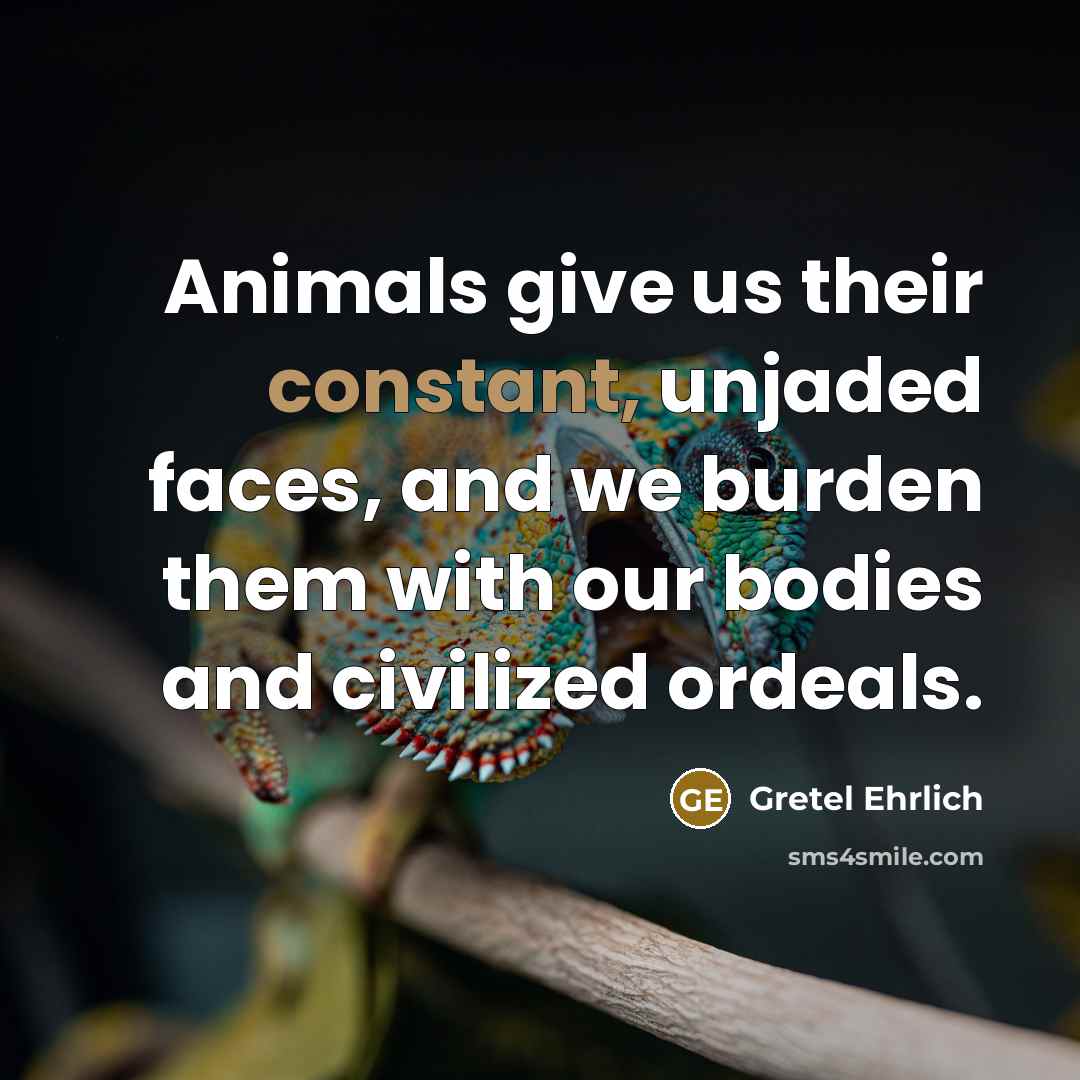 “Animals give us their constant, unjaded faces, and we burden…” quote by Gretel Ehrlich