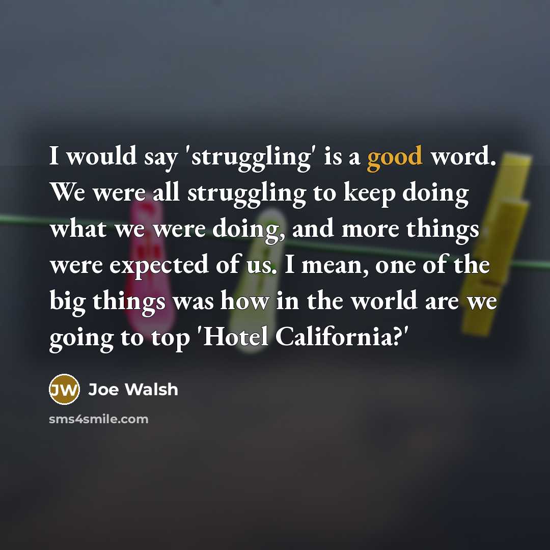 “I would say 'struggling' is a good word. We were…” quote by Joe Walsh