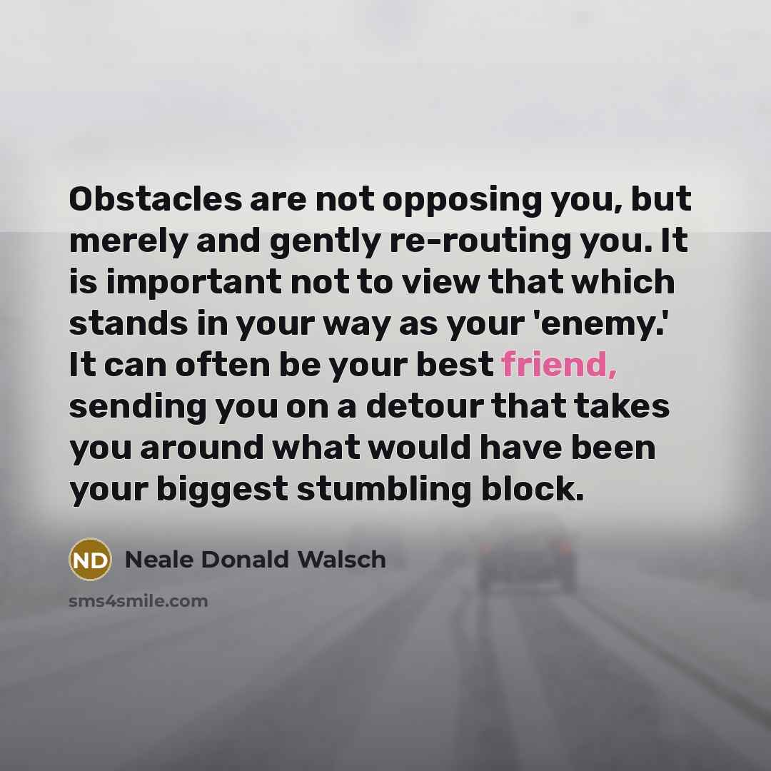 “Obstacles are not opposing you, but merely and gently re-routing…” quote by Neale Donald Walsch