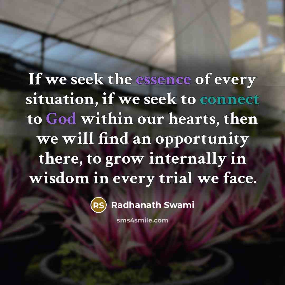 “If we seek the essence of every situation, if we…” quote by Radhanath Swami