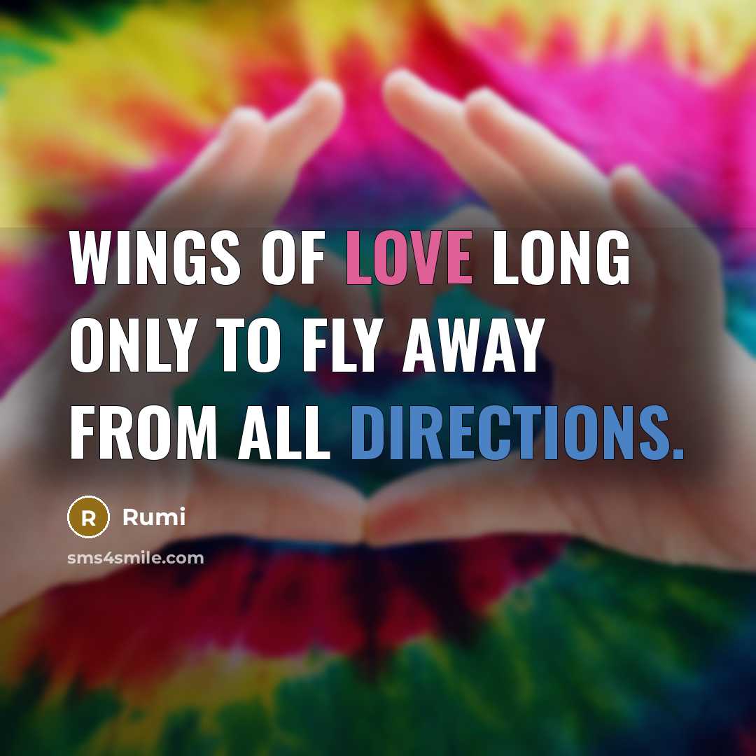 “Wings of Love long only to fly away from all…” quote by Rumi