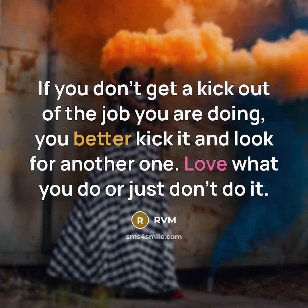 “If you don't get a kick out of the job you are doing, you better kick it and look for another one. Love what you do or just don't do it.” quote by RVM