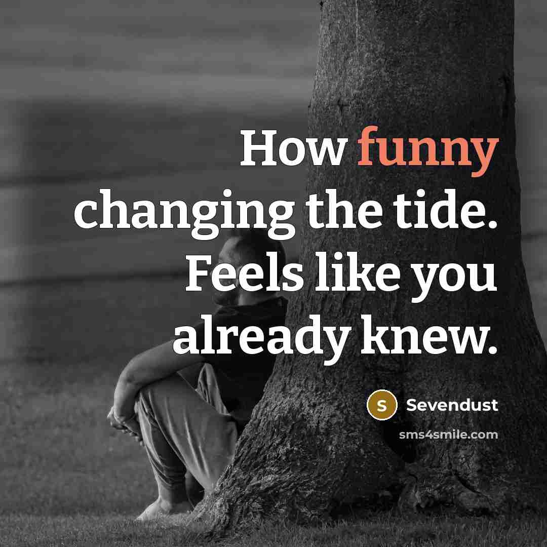 “How funny changing the tide. Feels like you already knew.…” quote by Sevendust