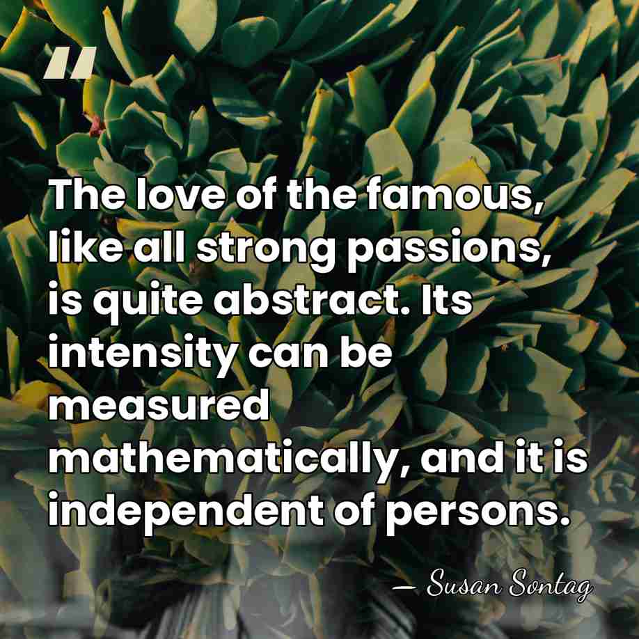 The love of the famous, like all strong passions, is quite abstract.&hellip; - Susan Sontag