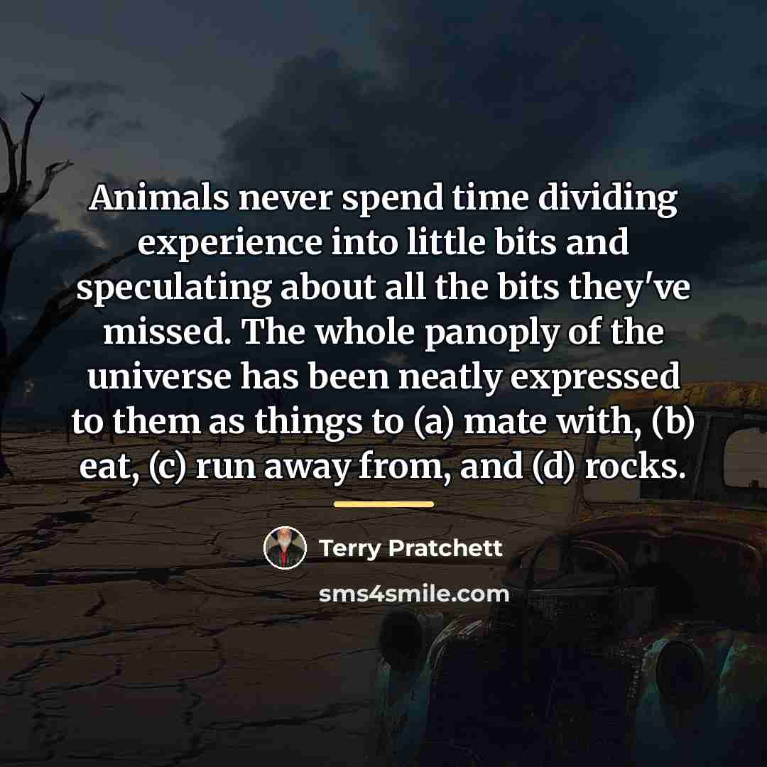 “Animals never spend time dividing experience into little bits and…” quote by Terry Pratchett