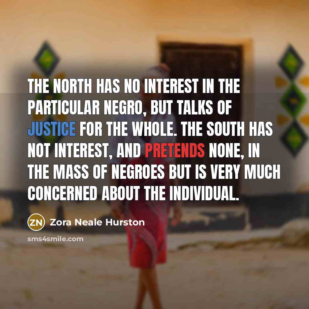 “The North has no interest in the particular Negro, but…” quote by Zora Neale Hurston