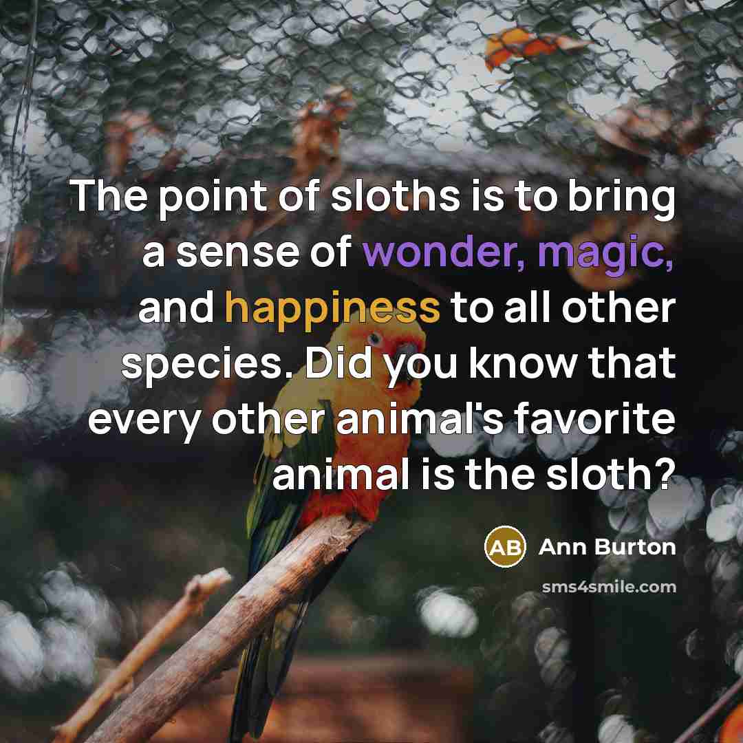 “The point of sloths is to bring a sense of…” quote by Ann Burton
