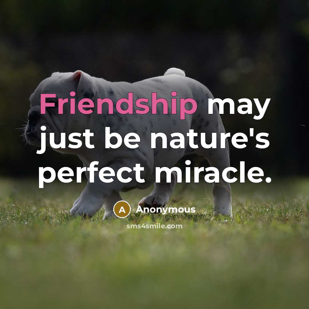“Friendship may just be nature's perfect miracle.…” quote by Anonymous