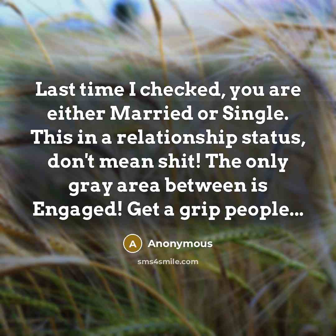 “Last time I checked, you are either Married or Single. This in a relationship status, don't mean shit! The only gray area between is Engaged! Get a grip people...” quote by Anonymous