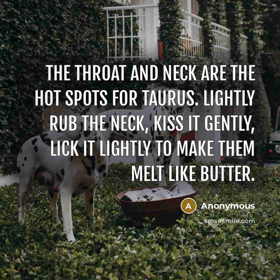 “The throat and neck are the hot spots for Taurus. Lightly rub the neck, kiss it gently, lick it lightly to make them melt like butter.” quote by Anonymous