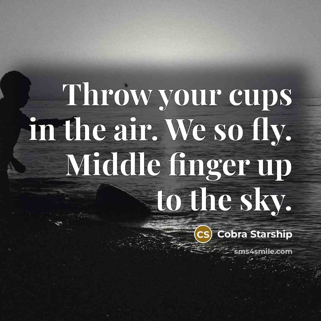 “Throw your cups in the air. We so fly. Middle…” quote by Cobra Starship