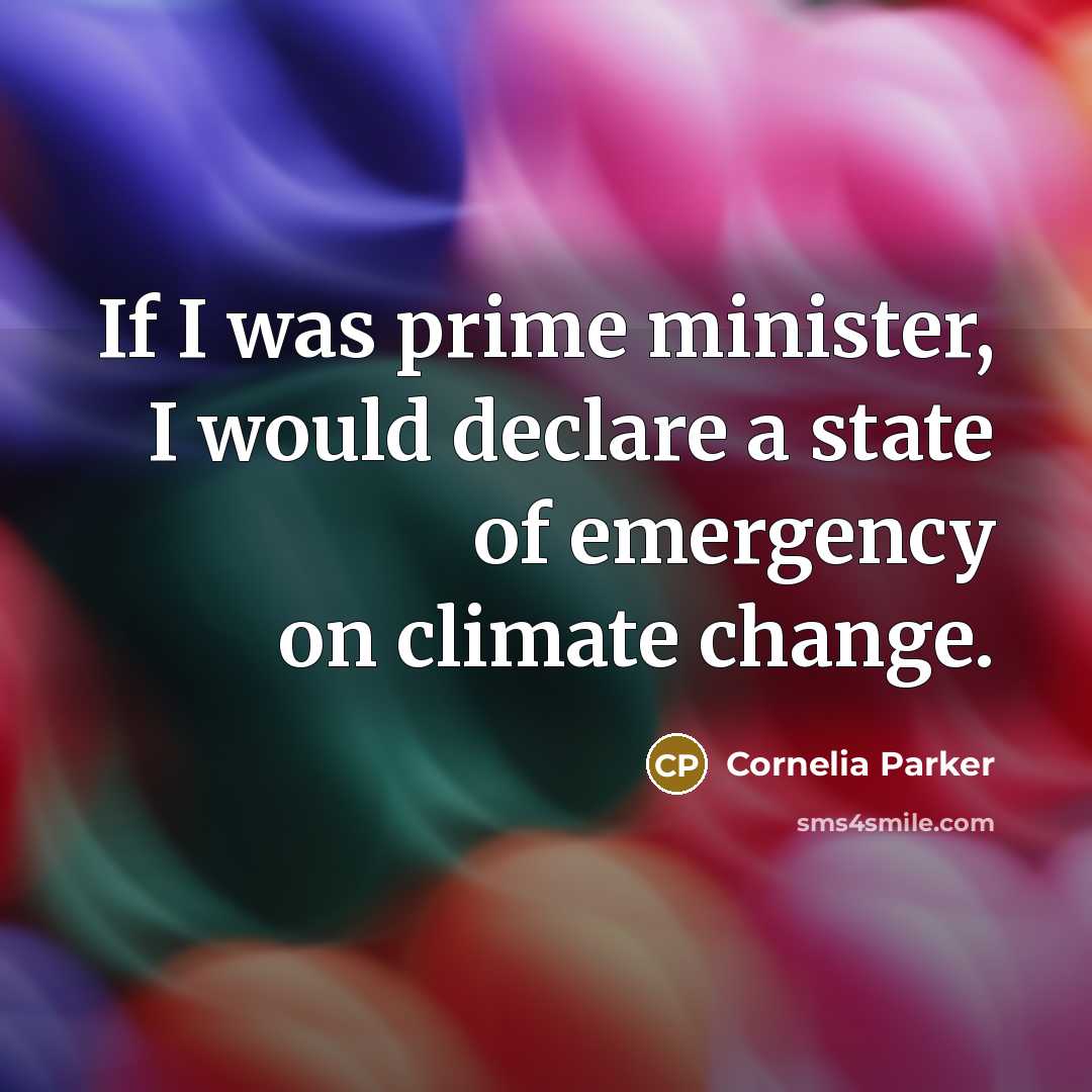 “If I was prime minister, I would declare a state…” quote by Cornelia Parker