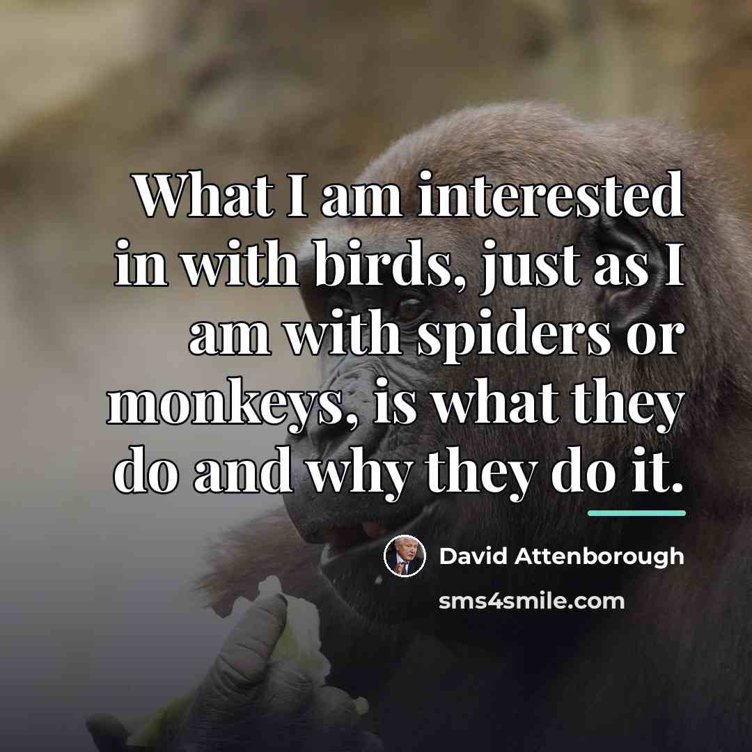 “What I am interested in with birds, just as I…” quote by David Attenborough