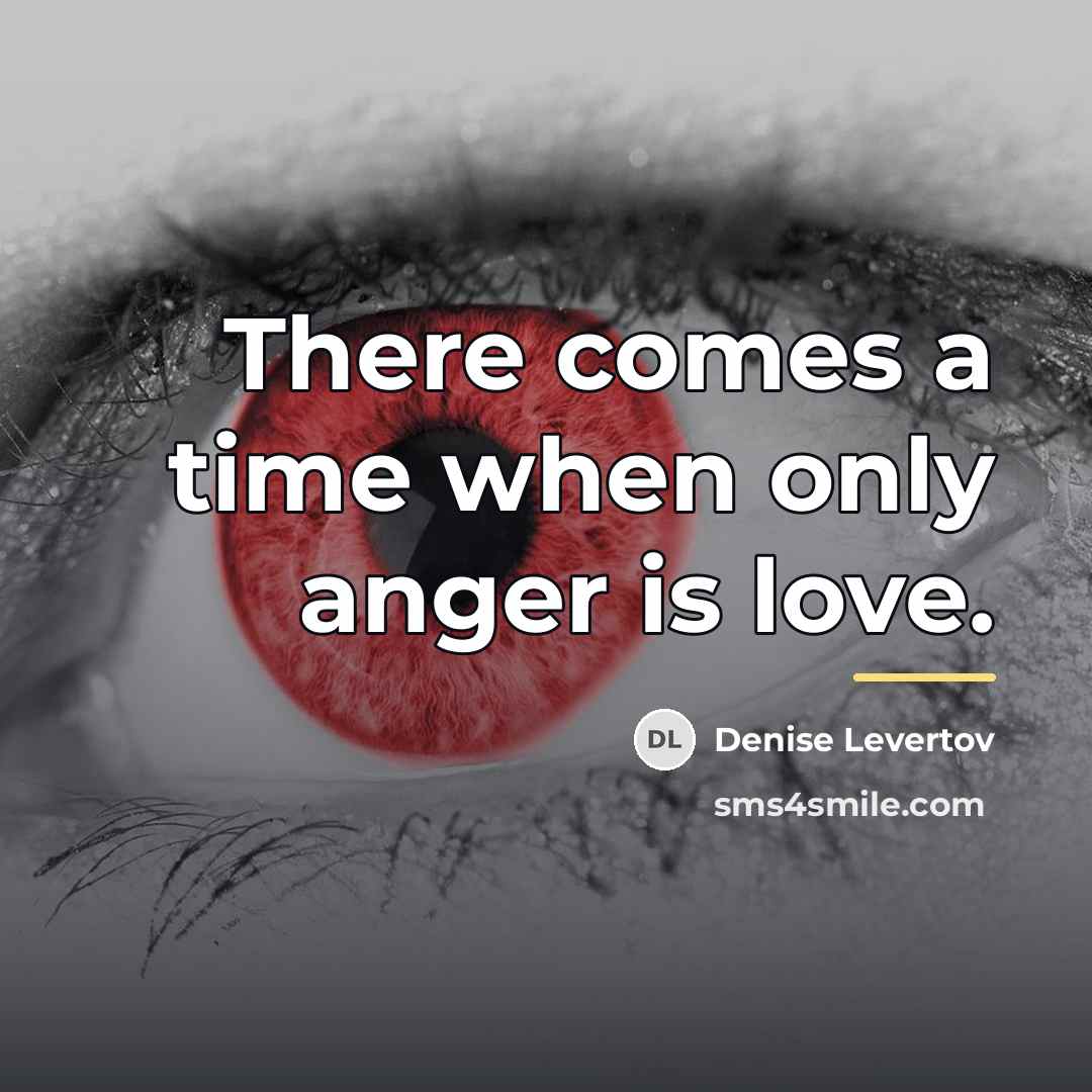 “There comes a time when only anger is love.…” quote by Denise Levertov
