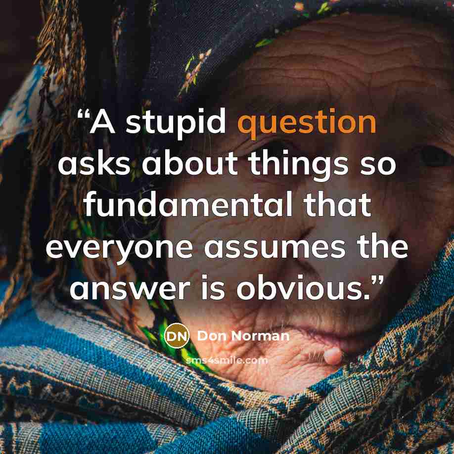 “A stupid question asks about things so fundamental that everyone assumes the answer is obvious.” quote by Don Norman