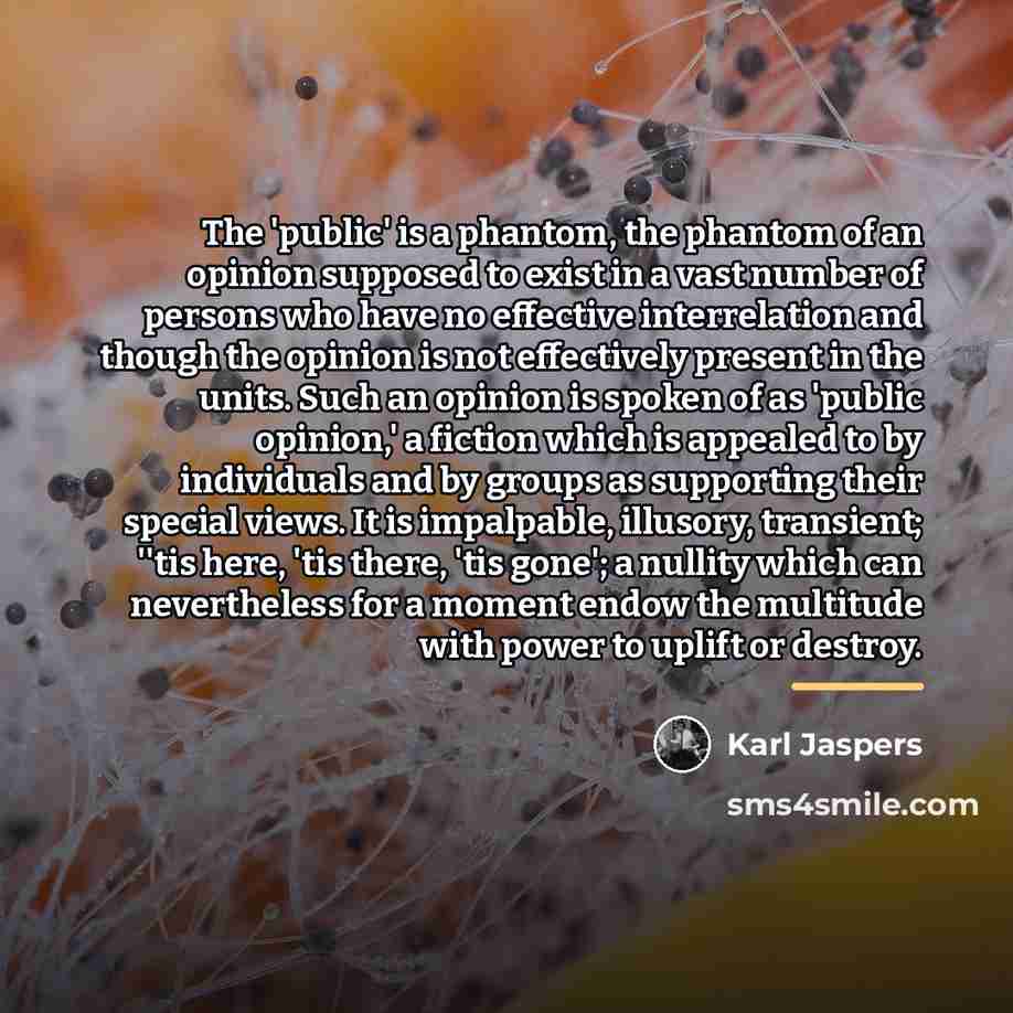 “The 'public' is a phantom, the phantom of an opinion…” quote by Karl Jaspers