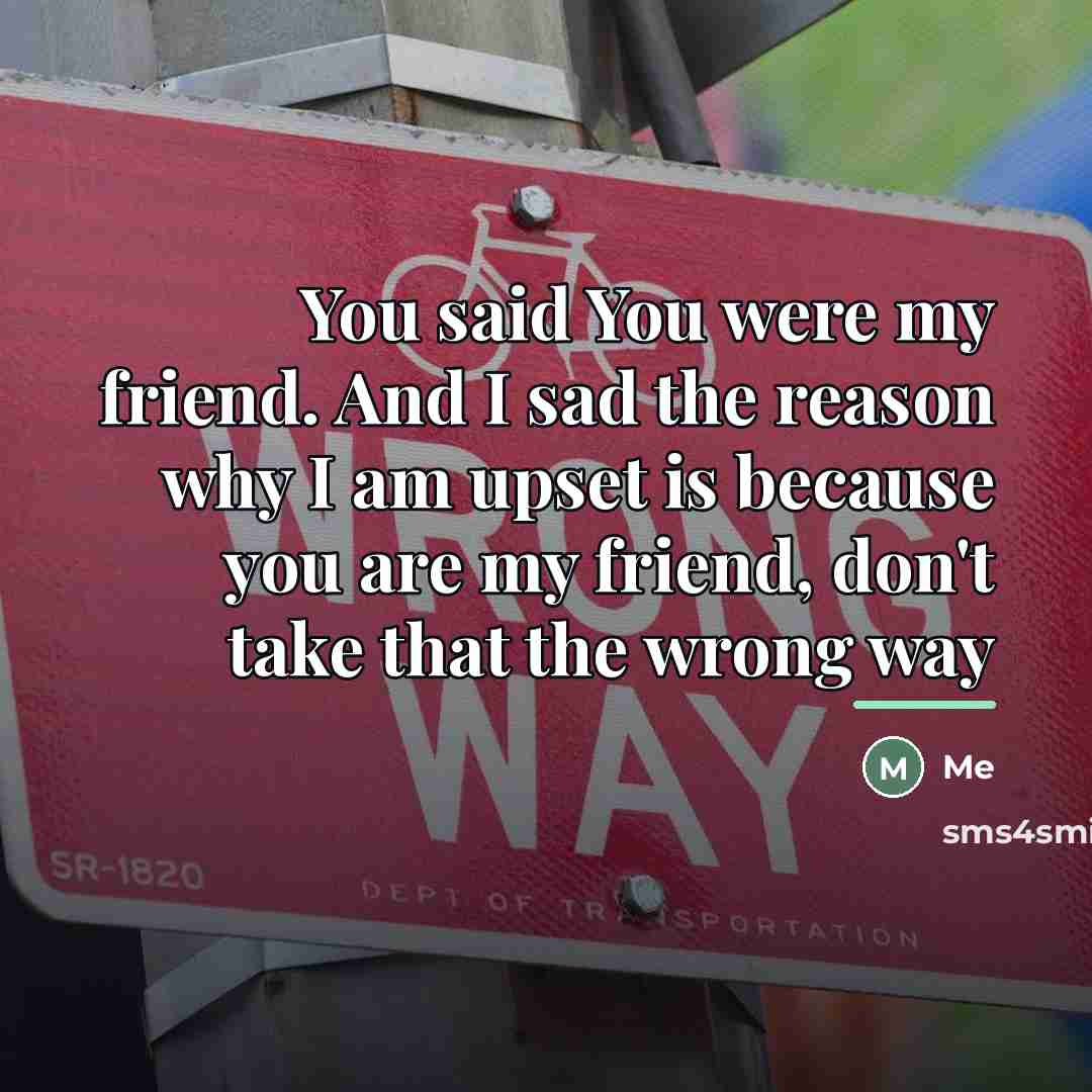 “You said You were my friend. And I sad the…” quote by Me