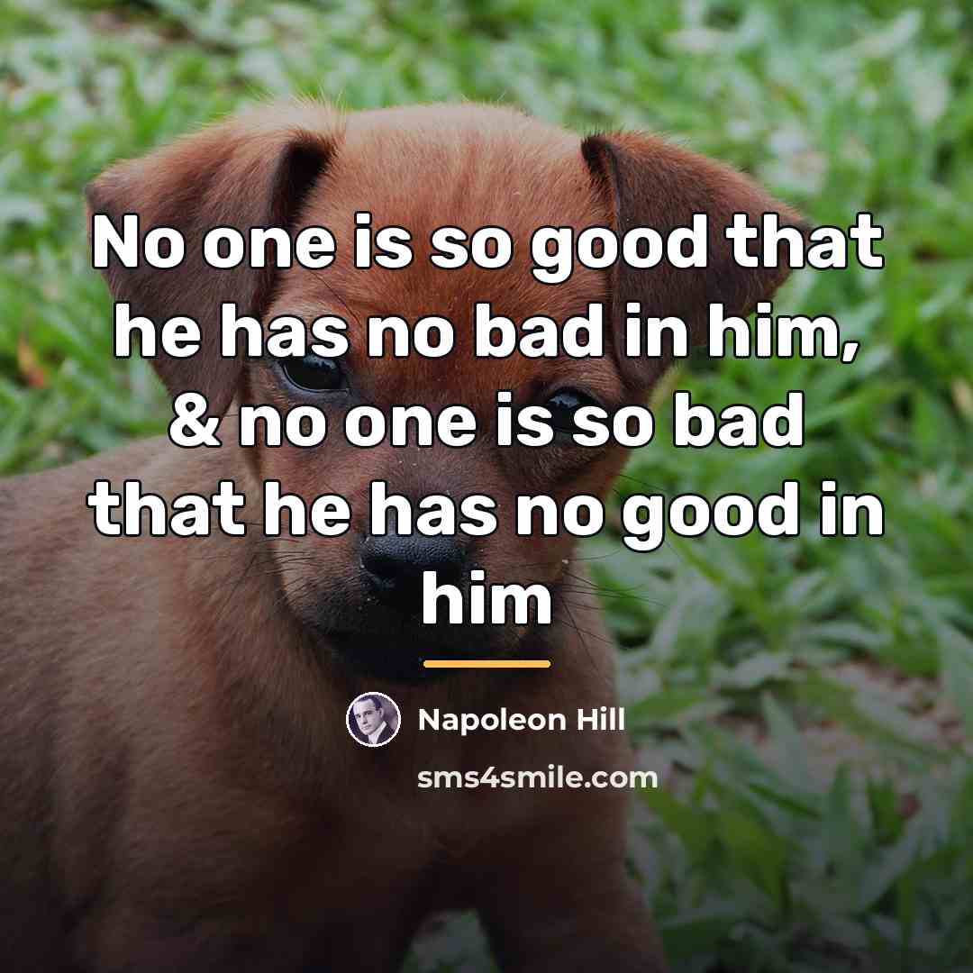 “No one is so good that he has no bad…” quote by Napoleon Hill