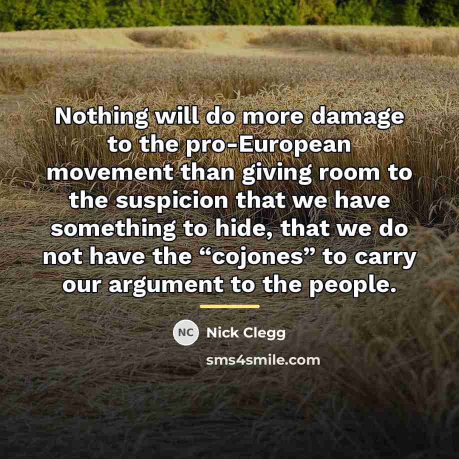 “Nothing will do more damage to the pro-European movement than…” quote by Nick Clegg