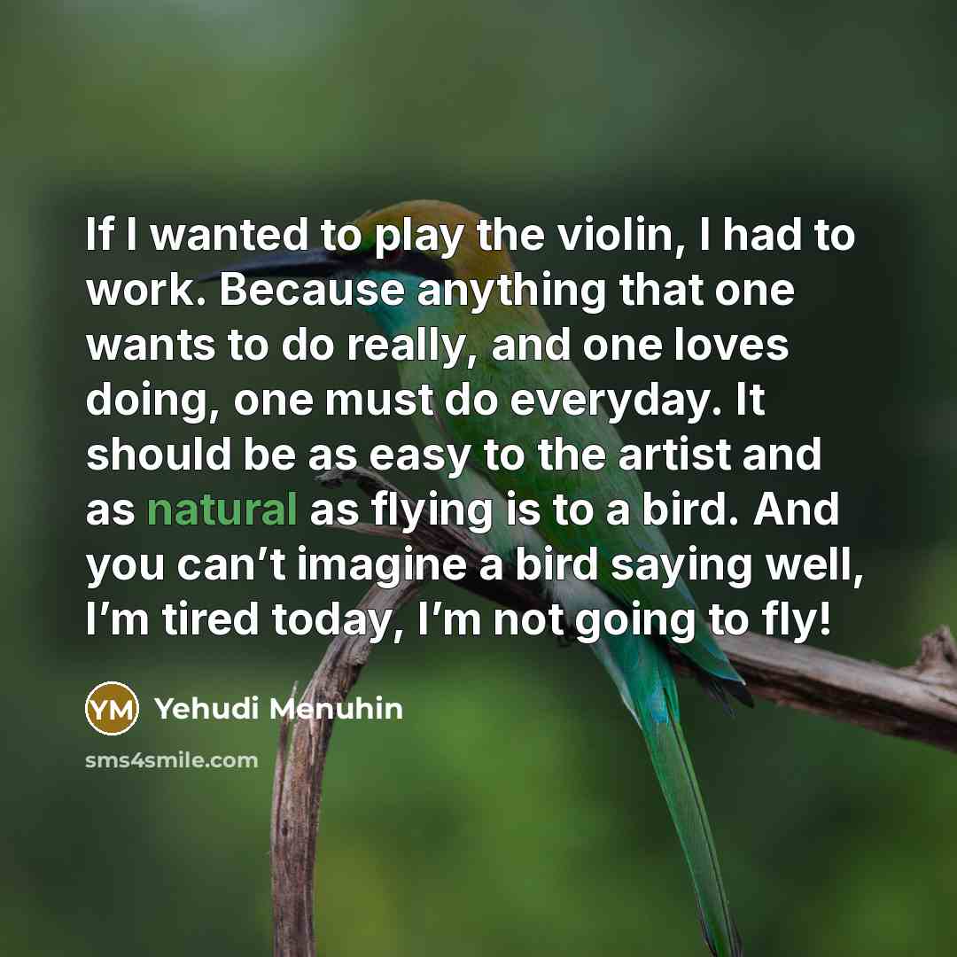 “If I wanted to play the violin, I had to…” quote by Yehudi Menuhin