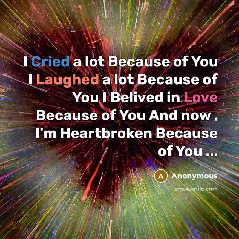 “I Cried a lot Because of You I Laughed a lot Because of You I Belived in Love Because of You And now , I'm Heartbroken Because of You ...” quote by Anonymous
