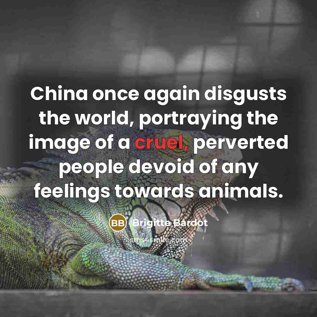 “China once again disgusts the world, portraying the image of…” quote by Brigitte Bardot
