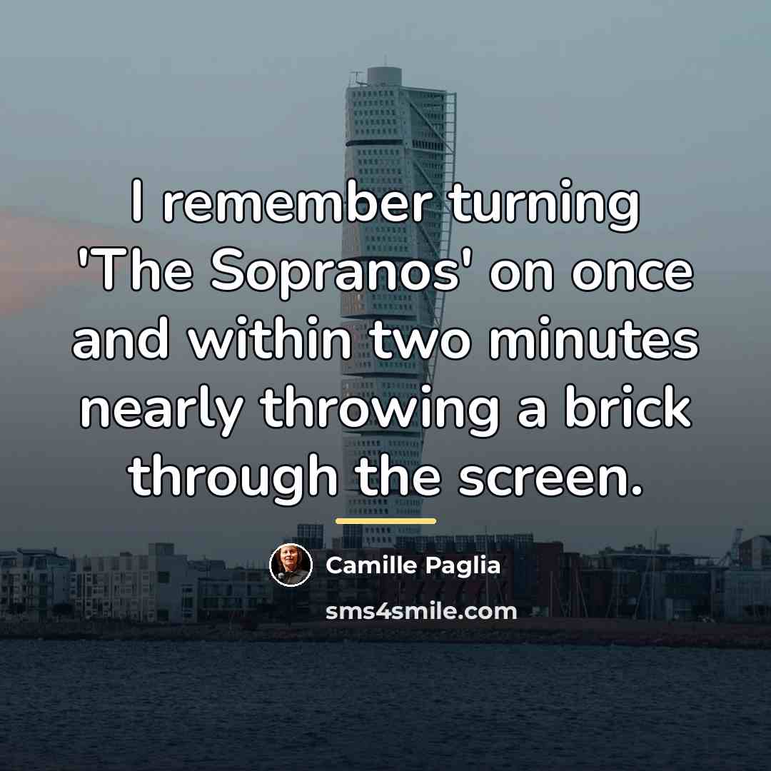 “I remember turning 'The Sopranos' on once and within two…” quote by Camille Paglia