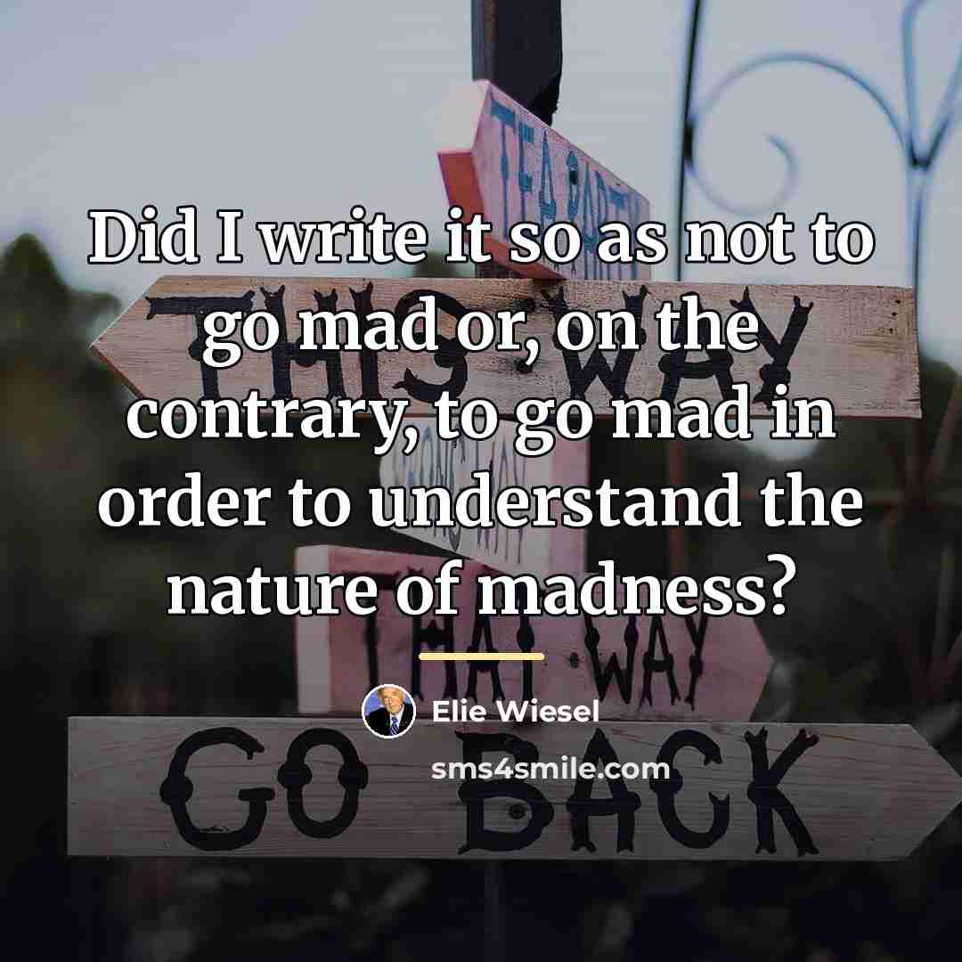 “Did I write it so as not to go mad…” quote by Elie Wiesel