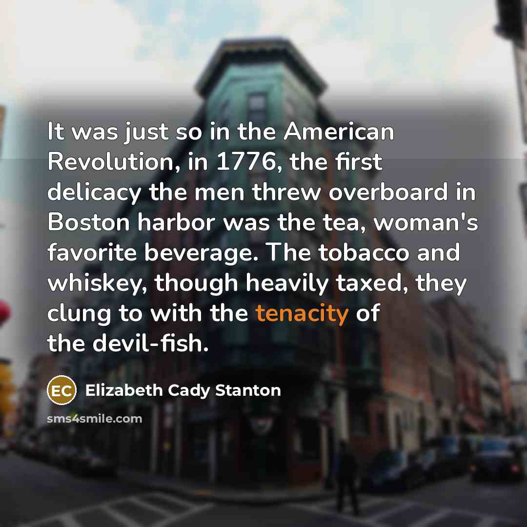 “It was just so in the American Revolution, in 1776,…” quote by Elizabeth Cady Stanton