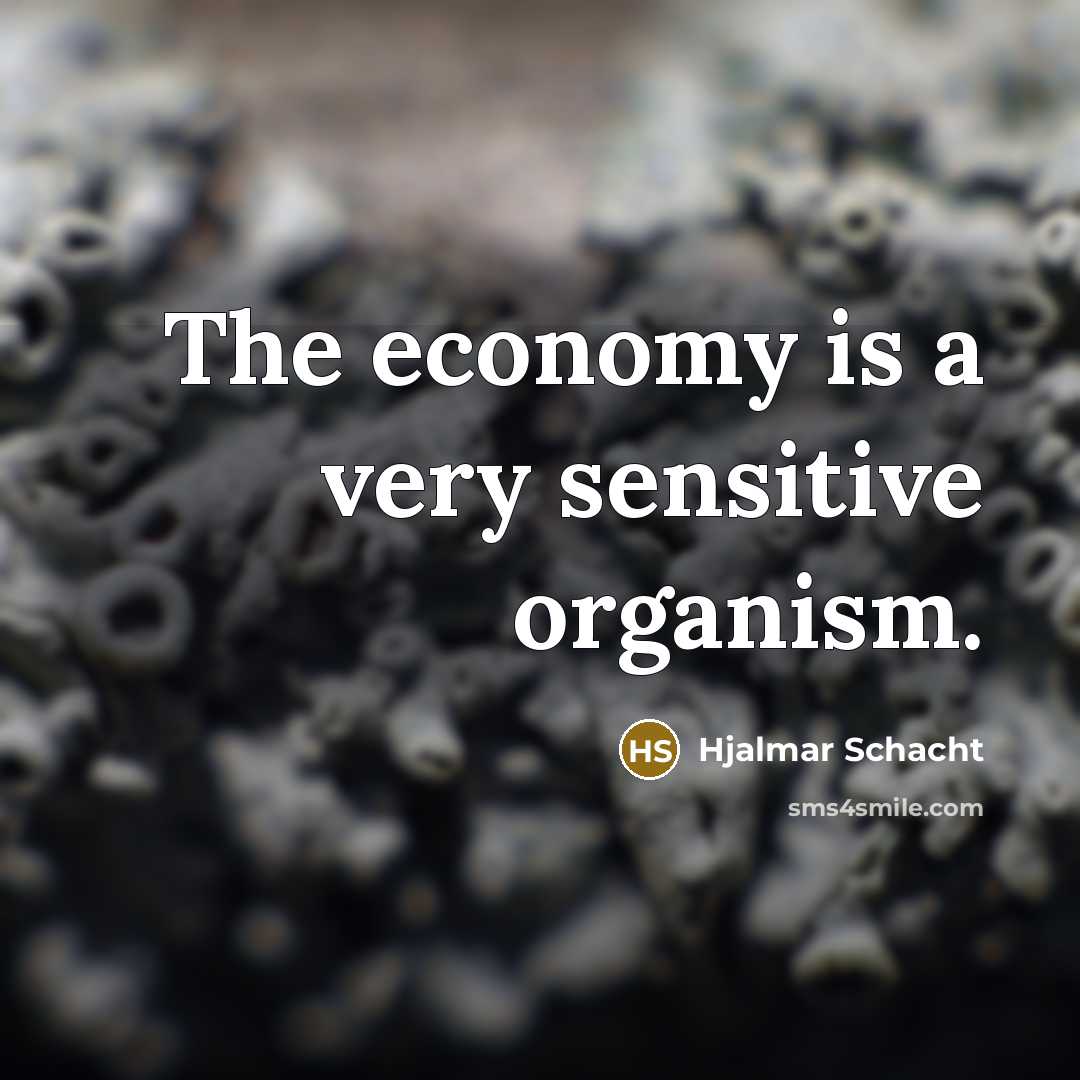 “The economy is a very sensitive organism.…” quote by Hjalmar Schacht