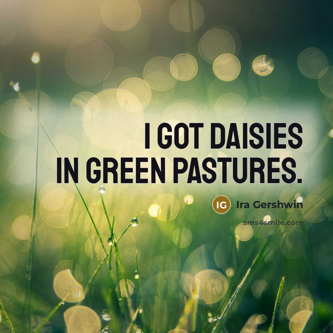 “I got daisies In green pastures.…” quote by Ira Gershwin