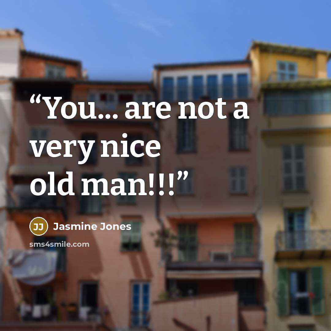 “You... are not a very nice old man!!!” quote by Jasmine Jones