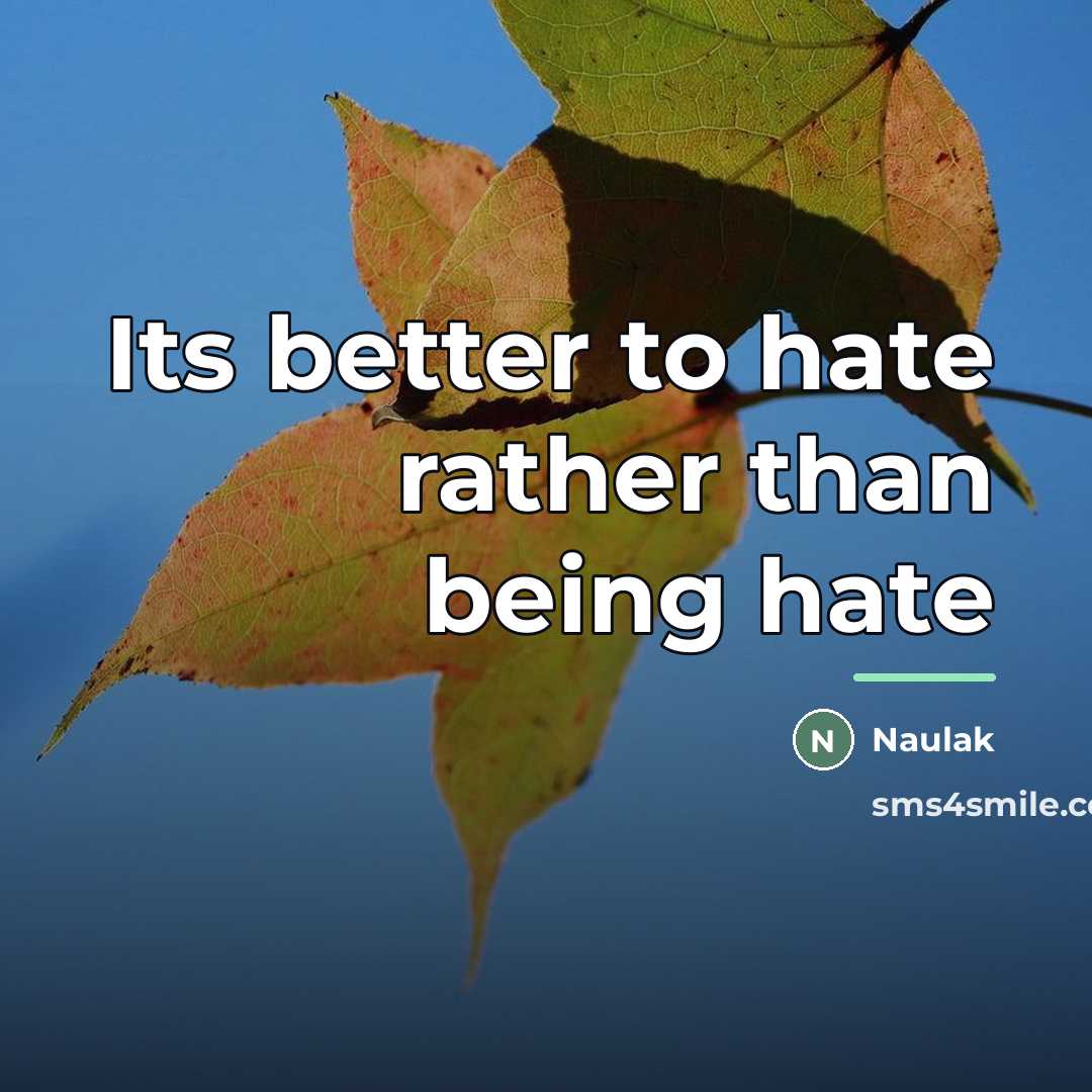 “Its better to hate rather than being hate…” quote by Naulak