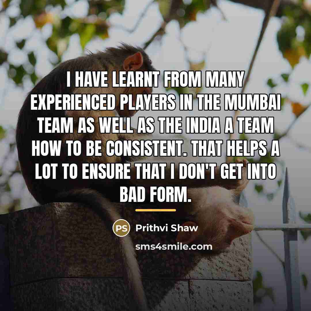 “I have learnt from many experienced players in the Mumbai…” quote by Prithvi Shaw