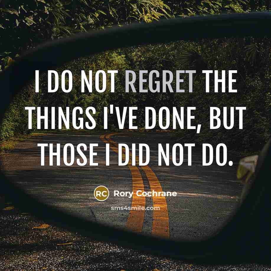 “I do not regret the things I've done, but those…” quote by Rory Cochrane