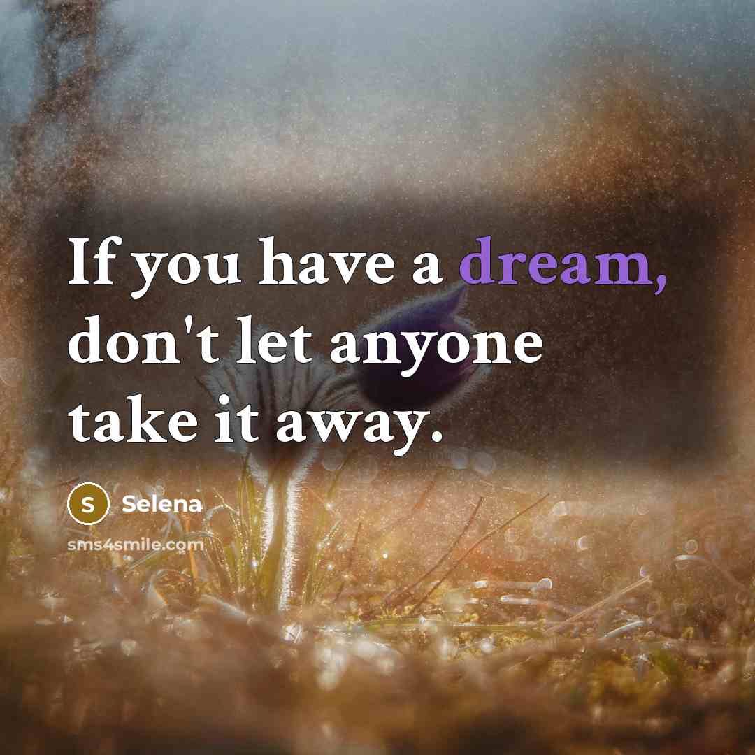 “If you have a dream, don't let anyone take it away.” quote by Selena