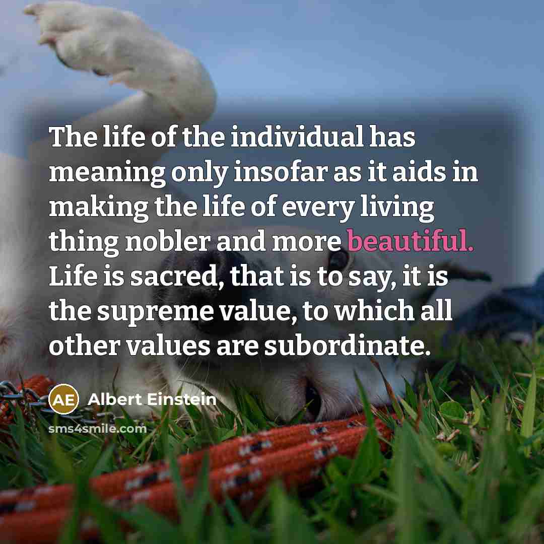 “The life of the individual has meaning only insofar as…” quote by Albert Einstein