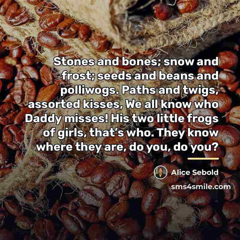 “Stones and bones; snow and frost; seeds and beans and…” quote by Alice Sebold