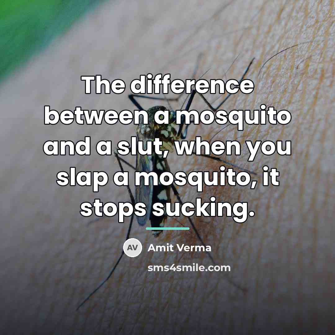 “The difference between a mosquito and a slut, when you…” quote by Amit Verma