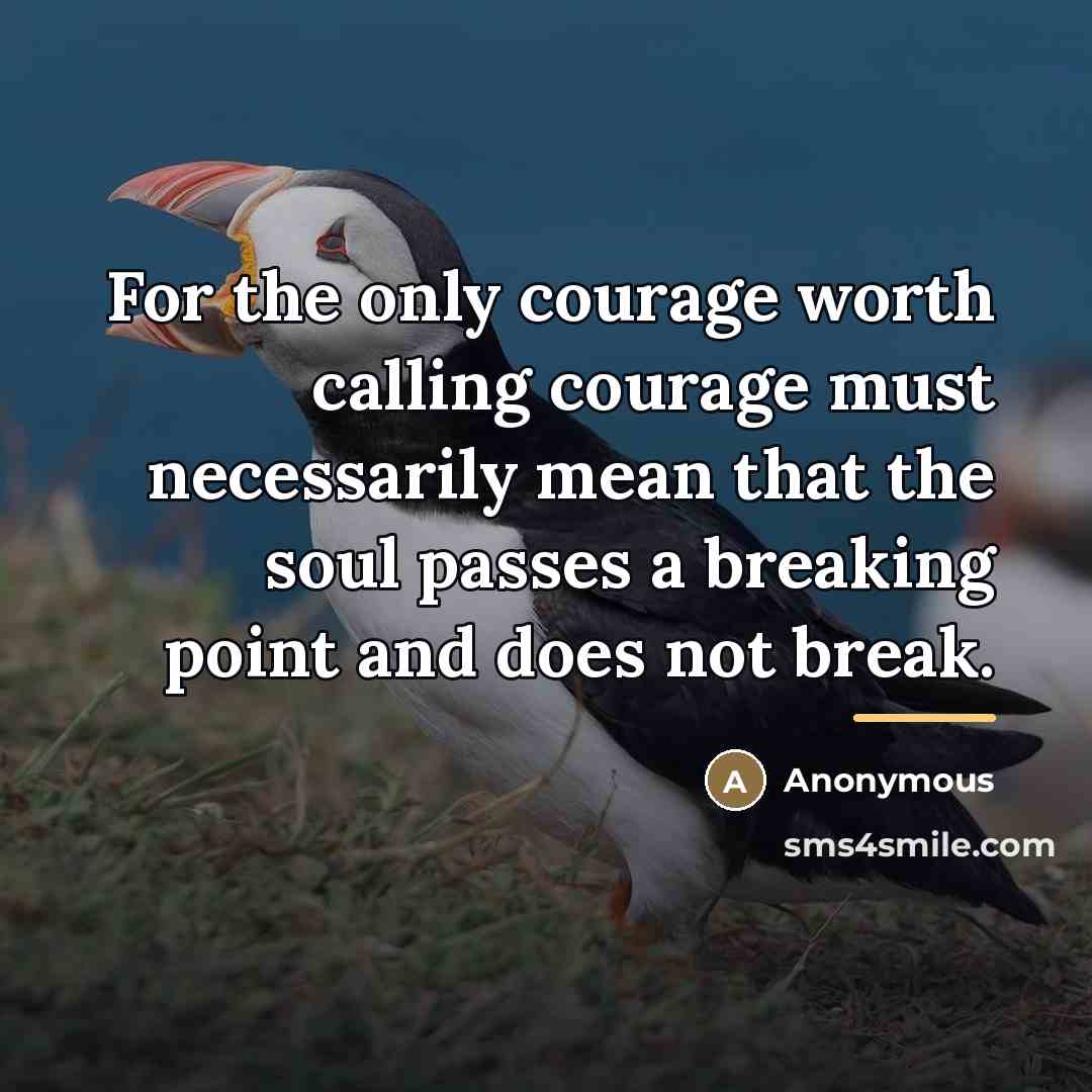 “For the only courage worth calling courage must necessarily mean…” quote by Anonymous