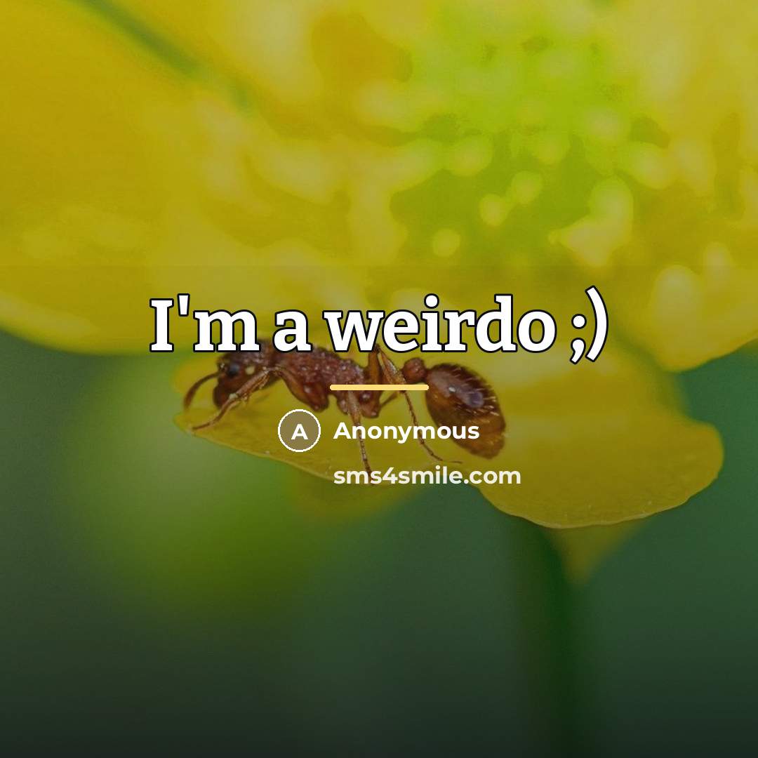 “I'm a weirdo ;)…” quote by Anonymous